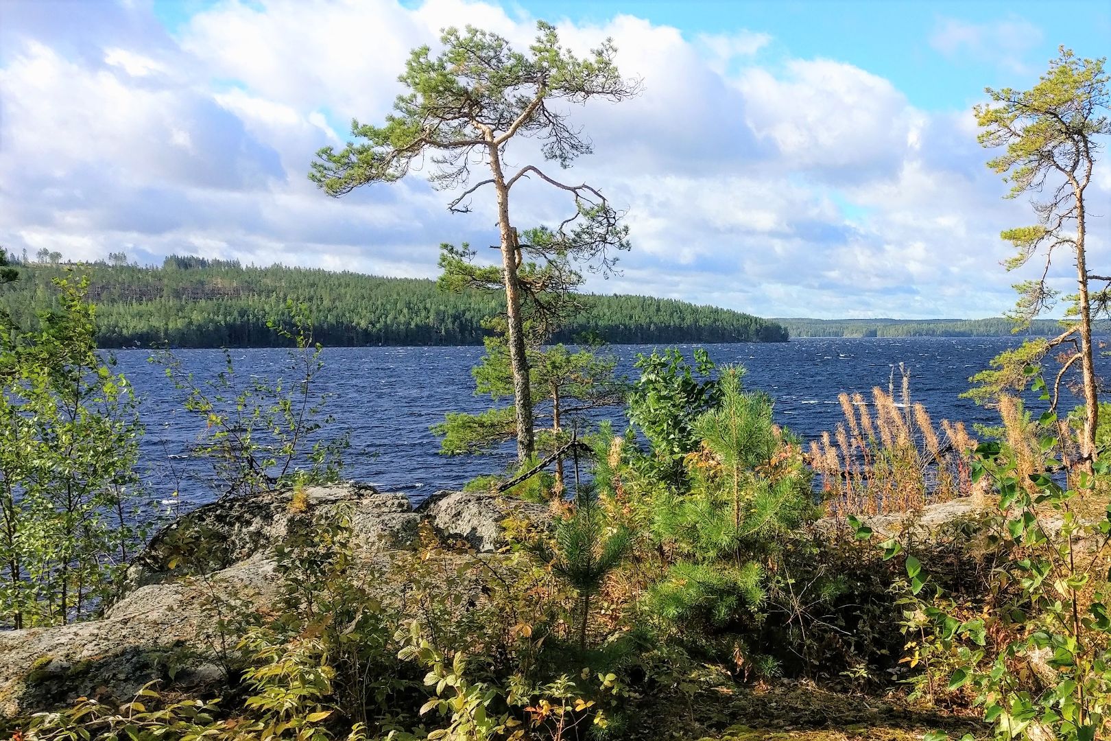IMG_20200913_105521.jpg
