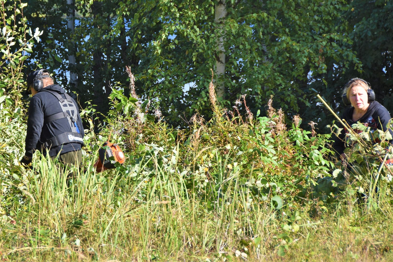 DSC_4352.JPG