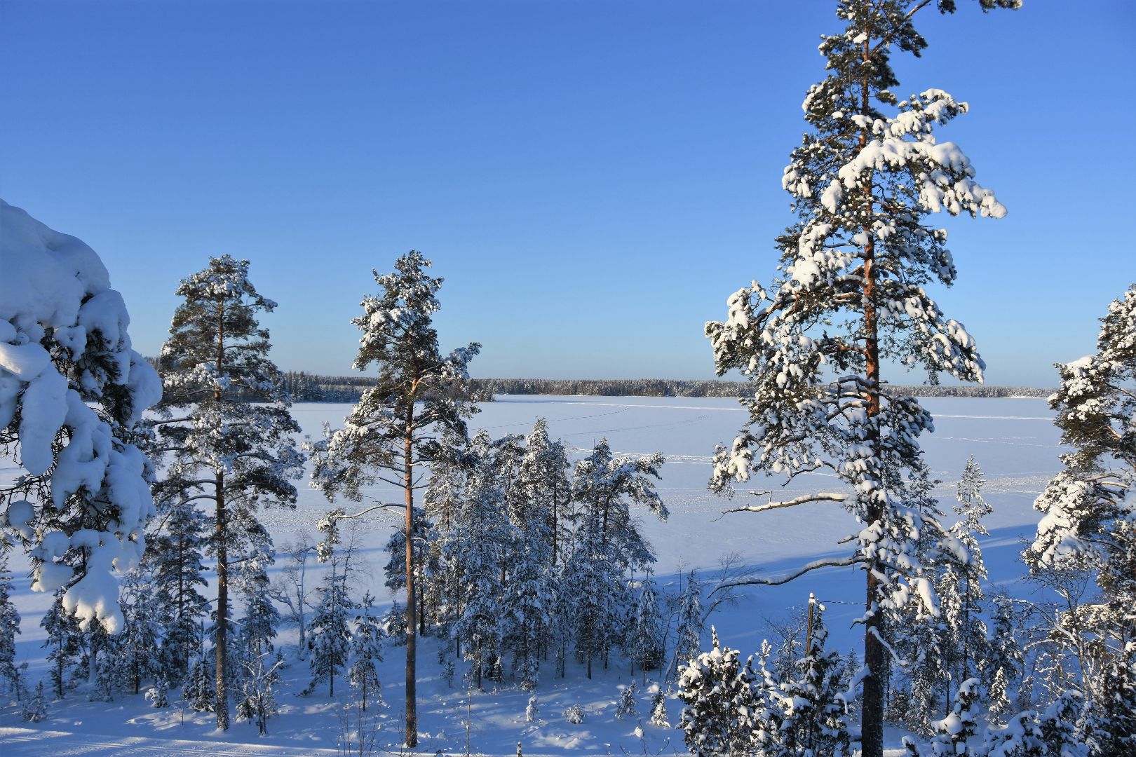 DSC_0066.JPG